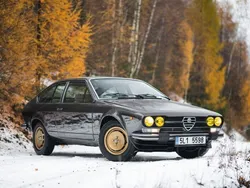 Braun Gebraucht 1977 Alfa Romeo Alfetta GT/GTV Coupé | 17.990 €