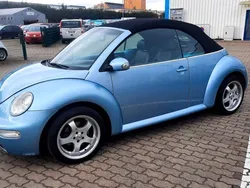 VW Beetle
