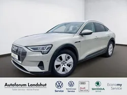 Beige Gebraucht 2020 Audi e-tron Advanced Plus SUV | 33.490 €