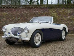Weiß Gebraucht 1955 Austin Healey 100 Cabrio | 85.950 €
