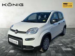 Weiß Gebraucht 2025 Fiat Panda Kleinwagen | 17.490 € (Teuer)