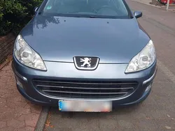 Blau Gebraucht 2005 Peugeot 407 Kombi | 2.500 €