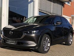 Grau Gebraucht 2021 Mazda CX-30 Selection SUV | 21.500 € (Fairer Preis)
