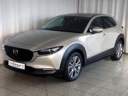 Beige Gebraucht 2024 Mazda CX-30 Takumi-Line SUV | 30.990 € (Etwas zu teuer)