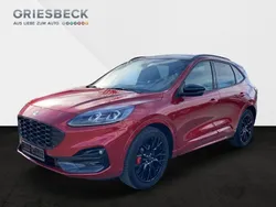 Rot Gebraucht 2024 Ford Kuga ST-Line X SUV | 33.980 € (Teuer)