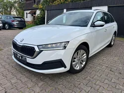 Weiß Gebraucht 2022 Skoda Octavia Kombi | 13.500 € (Fairer Preis)