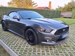Grau Gebraucht 2016 Ford Mustang Cabrio | 24.990 € (Teuer)