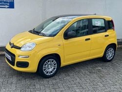 Gelb Gebraucht 2025 Fiat Panda Kleinwagen | 15.990 € (Etwas zu teuer)