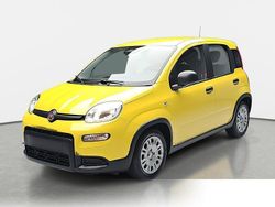 Farbe: Gebraucht 2024 Fiat Panda | 14.170 € (Etwas zu teuer)