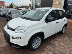 Weiß Neu 2024 Fiat Panda Kleinwagen | 15.980 €