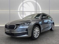 Grau Gebraucht 2025 Skoda Octavia Selection Kombi | 27.490 € (Guter Preis)