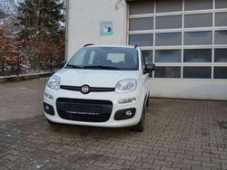 Weiß Gebraucht 2017 Fiat Panda Easy Kleinwagen | 6.400 € (Fairer Preis)