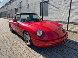 Rot Gebraucht 1991 Alfa Romeo Spider Cabrio | 22.950 €