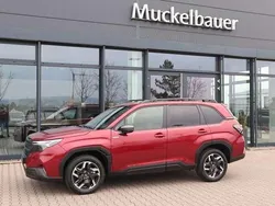 Crimson red pearl Neu 2024 Subaru Forester Exclusive+ SUV | 39.995 € (Fairer Preis)