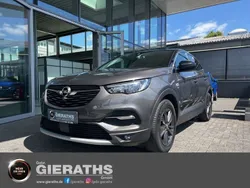 Grau Gebraucht 2020 Opel Grandland X SUV | 16.890 € (Fairer Preis)