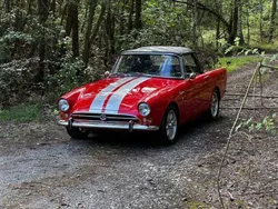 Ford Shelby