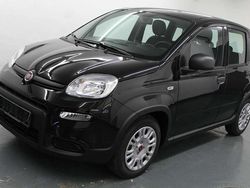 Schwarz Gebraucht 2023 Fiat Panda Kleinwagen | 13.489 € (Fairer Preis)
