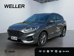 Grau Gebraucht 2024 Ford Kuga ST-Line SUV | 27.880 € (Guter Preis)