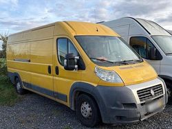 Weiß Gebraucht 2008 Fiat Ducato Van | 1.899 € (Superpreis)
