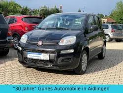 Schwarz Gebraucht 2019 Fiat Panda Easy Kleinwagen | 6.850 € (Superpreis)
