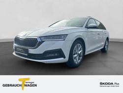 Weiß Gebraucht 2023 Skoda Octavia Ambition Kombi | 21.980 € (Superpreis)
