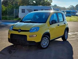 Gelb Neu 2024 Fiat Panda Kleinwagen | 14.490 € (Fairer Preis)