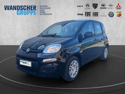 Schwarzschwarz Neu 2025 Fiat Panda Kleinwagen | 14.290 € (Fairer Preis)