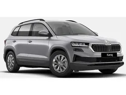 Grau Gebraucht 2024 Skoda Karoq Selection SUV | 31.990 € (Fairer Preis)