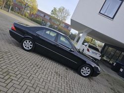Schwarz Gebraucht 2004 Mercedes S320 Limousine | 2.900 € (Guter Preis)