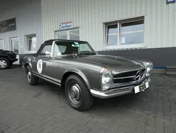 Grau Gebraucht 1965 Mercedes 230 Classic Cabrio | 95.900 €
