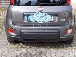 Grau Gebraucht 2021 Fiat Panda Kleinwagen | 11.500 € (Fairer Preis)