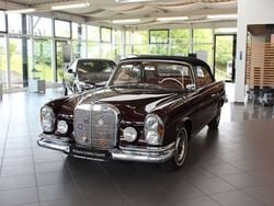 Rot Gebraucht 1964 Mercedes 220 SE Cabrio | 149.000 €