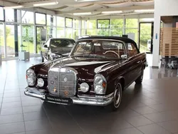 Rot Gebraucht 1964 Mercedes 220 SE Cabrio | 135.000 €