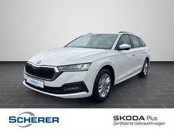 Candyweiss Gebraucht 2022 Skoda Octavia Ambition Limousine | 20.480 € (Guter Preis)