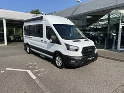 Frostweiß Gebraucht 2021 Ford Transit Trend Van | 58.886 €