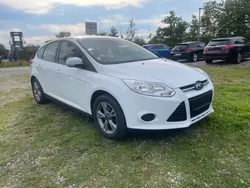 Weiß Gebraucht 2013 Ford Focus Champions Edition Limousine | 6.999 € (Fairer Preis)