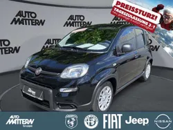 Schwarz Neu 2024 Fiat Panda Kleinwagen | 15.490 €