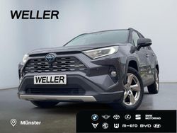 Grau Gebraucht 2019 Toyota RAV4 Hybrid Lounge SUV | 31.490 € (Fairer Preis)
