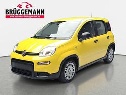 Gelb Gebraucht 2024 Fiat Panda Kleinwagen | 12.890 € (Fairer Preis)