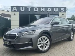 Grau Gebraucht 2024 Skoda Octavia RS Kombi | 31.200 € (Guter Preis)