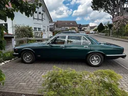 Grün Gebraucht 1981 Jaguar XJ6 Limousine | 17.500 €