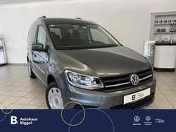 Indiumgrau metallic Gebraucht 2019 VW Caddy Trendline Van / Kleinbus | 23.780 € (Etwas zu teuer)