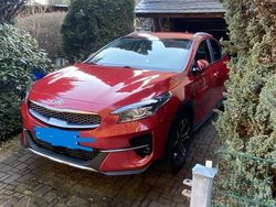 Rot Gebraucht 2020 Kia XCeed Spirit SUV | 15.700 € (Superpreis)
