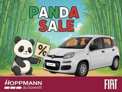 Gelato weiß Neu 2025 Fiat Panda Icon Kleinwagen | 14.980 € (Fairer Preis)