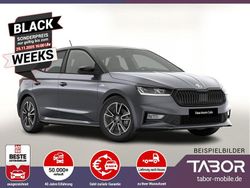 Grau Gebraucht 2024 Skoda Fabia Limousine | 24.788 € (Etwas zu teuer)
