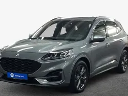 Silber Gebraucht 2024 Ford Kuga ST-Line SUV | 29.900 € (Guter Preis)