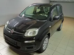 Schwarz Gebraucht 2014 Fiat Panda 4x4 Kleinwagen | 5.900 € (Superpreis)