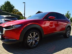 Rot Gebraucht 2020 Mazda CX-30 SUV | 22.400 € (Superpreis)