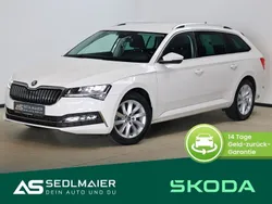 Candyweiss Gebraucht 2020 Skoda Superb Ambition Kombi | 24.800 € (Etwas zu teuer)
