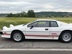 Weiß Gebraucht 1984 Lotus Esprit Coupé | 74.500 €